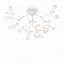 Накладная люстра Freya Florencia / Флоренция FR5049CL-36W1
